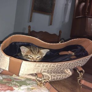 Meet your Posher, Sadie